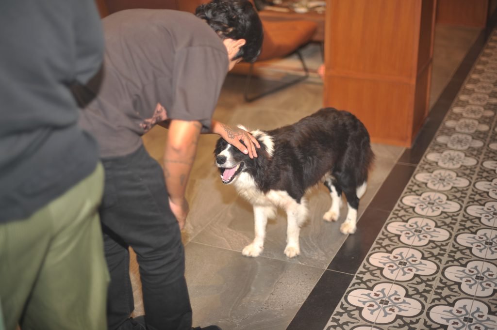 Friendly atmosphere at AT 06 Canggu where guests can enjoy meals while spending time with their pets inside a warm and welcoming setting.