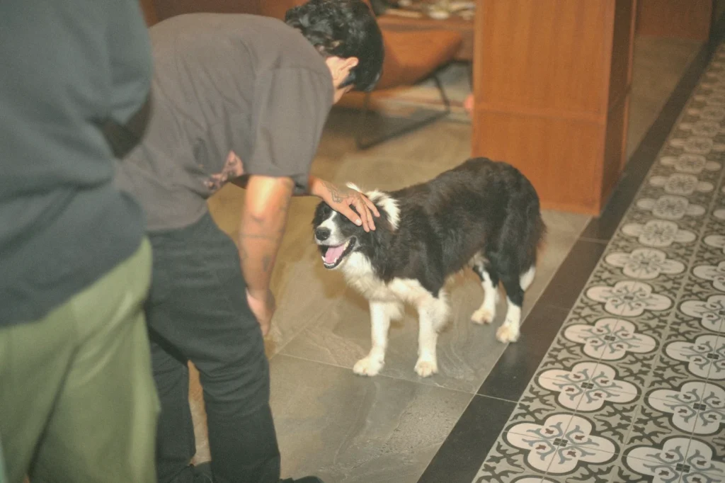 Friendly atmosphere at AT 06 Canggu where guests can enjoy meals while spending time with their pets inside a warm and welcoming setting.