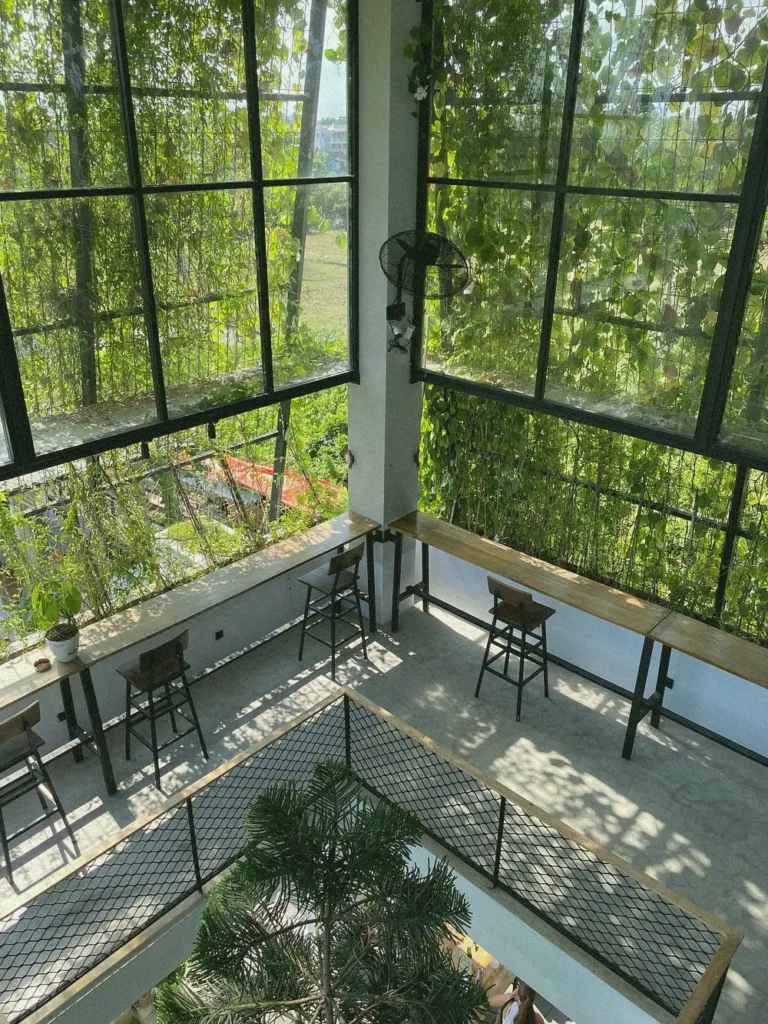 High-angle view of a Canggu coworking space with vines growing on metal windows, a mezzanine, and bar seating.